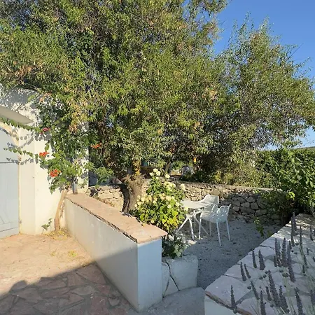 Serendipity Living Petite * Katsounion